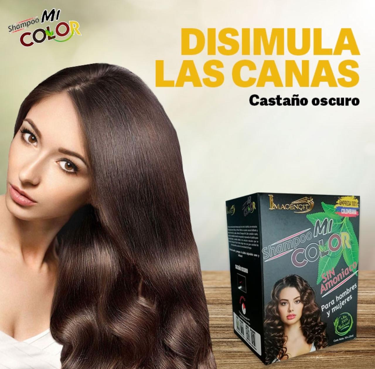 SHAMPOO CUBRE CANAS CASTAÑO