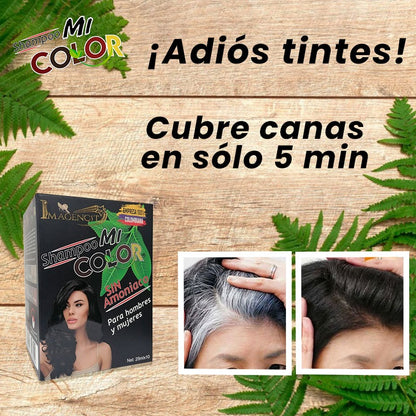 SHAMPOO CUBRE CANAS  NEGRO